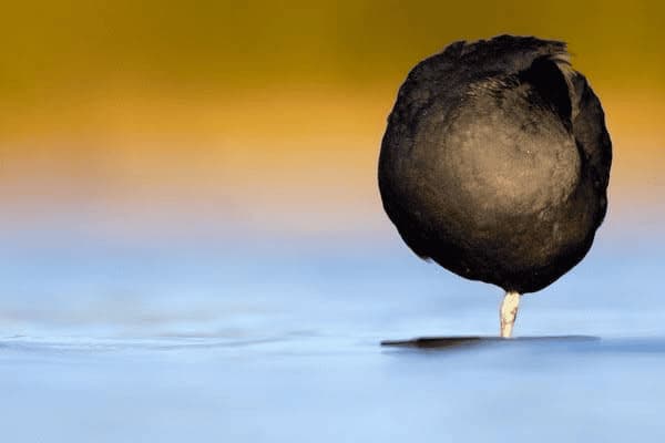 小儿的皮肤是什么样子的，小儿的皮肤是什么样子的图片