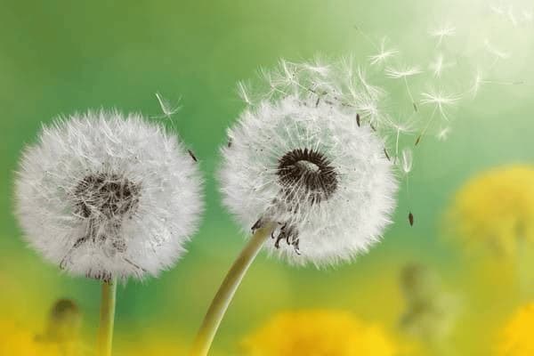 小孩建议吃什么奶粉好吸收，小孩建议吃什么奶粉好吸收呢