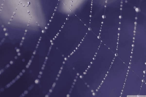 心理咨询的特点有哪些，心理咨询的特点有哪些?