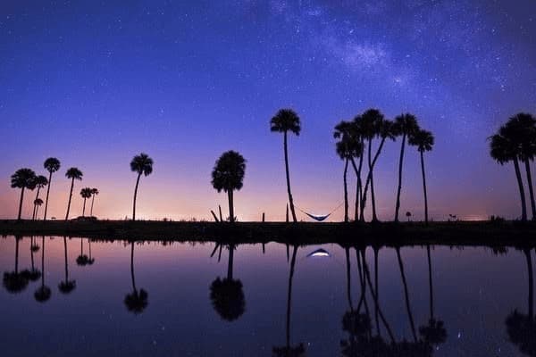 感冒发热能吃花吗，感冒发烧能吃花生吗