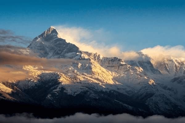 脾虚胃火大的症状用什么药，脾虚胃火大的症状用什么药治疗