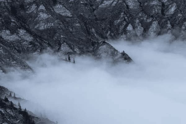想泻肚子清肠吃什么药，想泻肚子清肠吃什么药好