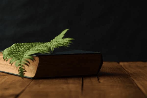 13岁男孩频繁出汗怎么办，13岁男孩频繁出汗怎么办呢