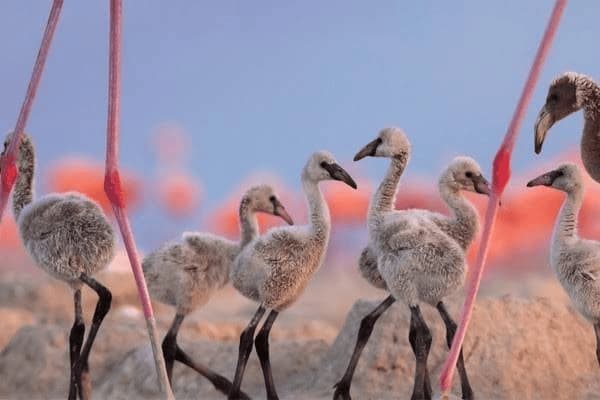 健身出汗是癌症吗，健身出汗是癌症吗能治好吗