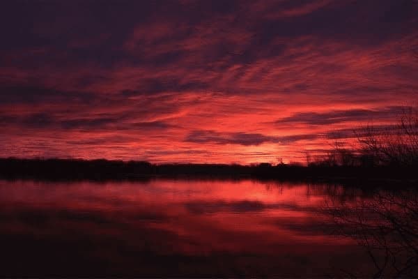 吃完维生素b可以吃脐橙吗，吃完维生素b可以吃脐橙吗