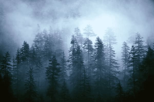 头疼犯困吃什么药呢女性，