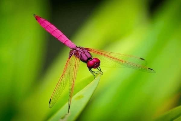 糖尿病一天到晚口渴怎么办，糖尿病一天到晚口渴怎么办呢