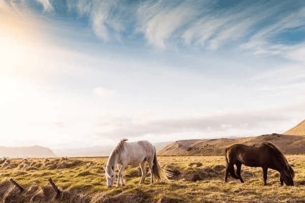 咳嗽感冒孕妇吃什么好呢，咳嗽感冒孕妇吃什么好呢