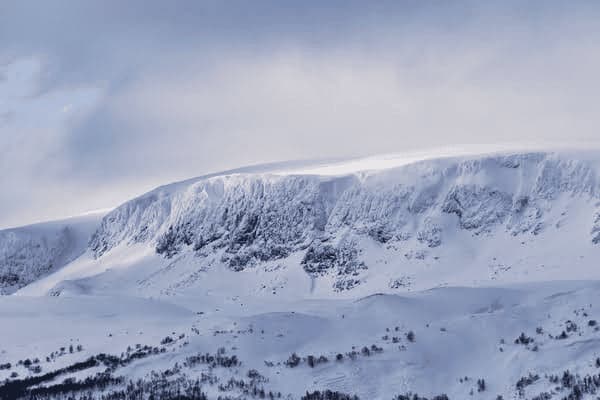 孩子过敏吃芒果好吗，孩子过敏吃芒果好吗会过敏吗