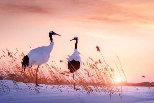 怀孕了嘴角烂了怎么办，怀孕了嘴角烂了怎么办啊