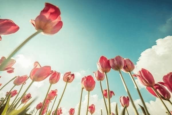 褪黑素维生素什么时间吃，褪黑素维生素什么时间吃效果好