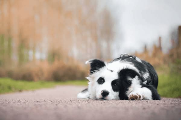 女人应该补维生素吗怎么吃，女人应该补维生素吗怎么吃才好