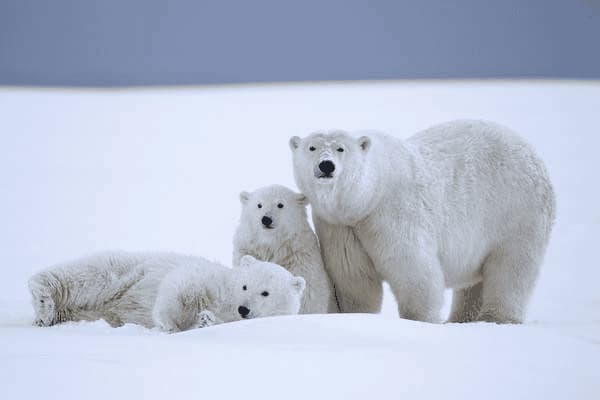 头皮臭抹什么药好，头皮臭抹什么药好得快