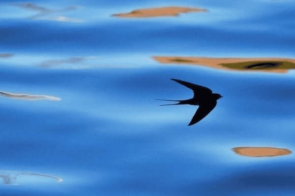 手臂偶尔刺痛怎么回事，手臂偶尔像针扎痛