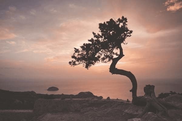 结核气管狭窄怎么治疗，结核气管狭窄怎么治疗最好