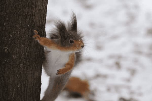 呃吃维生素cc有什么，维生素cc有什么用