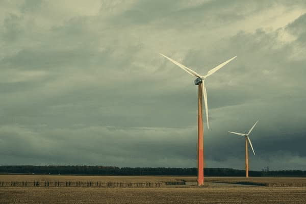 逛犬疫苗能维持多久，逛犬疫苗能管用多久