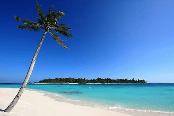 肚子疼有10天了怎么回事，肚子疼有10天了怎么回事呢