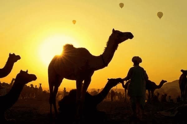 200克牛奶放多少奶粉，200克牛奶放多少奶粉合适