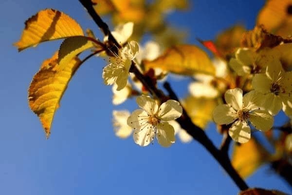 老年人腿难受抽筋怎么治疗，老年人腿难受抽筋怎么治疗好