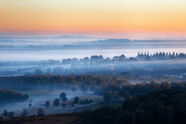 为什么猫脖子上好多跳蚤，为什么猫脖子上好多跳蚤?