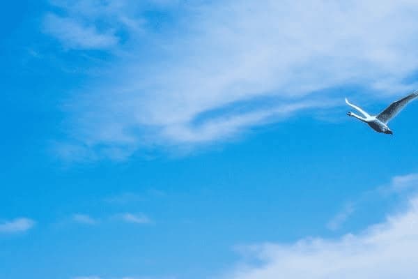 婴儿头痛用什么药，婴儿头痛用什么药好