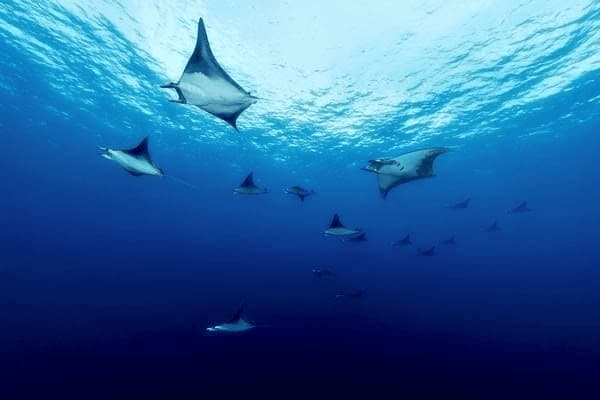 糖尿病四肢麻疼怎么办，糖尿病四肢麻疼怎么办吃什么药