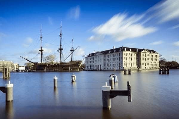 宠物怀孕了肚子疼怎么办，宠物怀孕了肚子疼怎么办呢