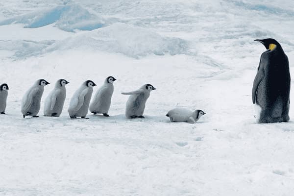 皮肤有炎症什么症状和感觉，皮肤有炎症什么症状和感觉有关