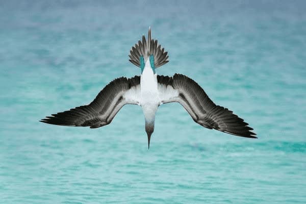 嗯肝癌晚期吃什么药，肝癌晚期吃什么药好?