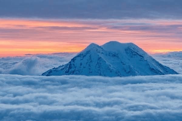 公鸡的舌头是什么形状的，公鸡的舌头是什么形状的图片
