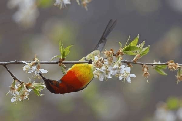 为什么有的孩子会叛逆严重，为什么有的孩子会叛逆严重呢
