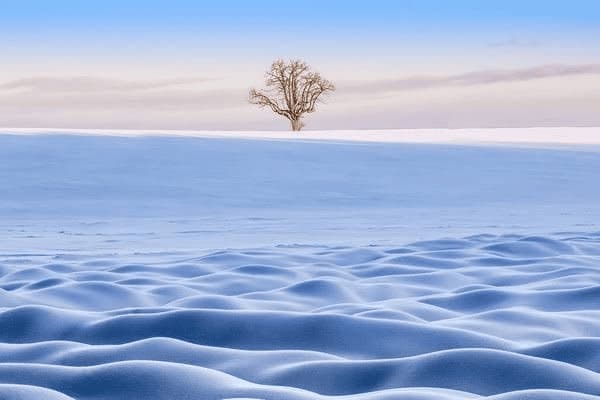 怀孕21周了是几个月了，怀孕21周了是几个月了啊