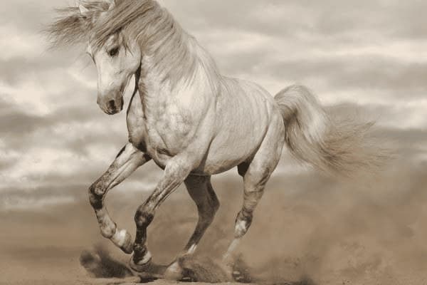 耳朵有 痒怎么回事，耳朵有痒怎么回事