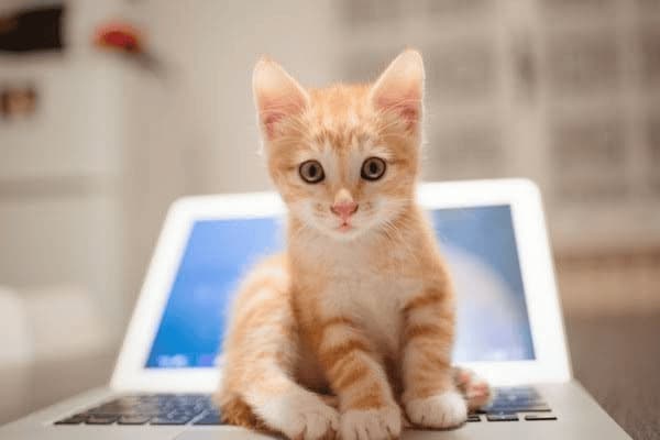 怎么通过按摩减肥肚子，怎么通过按摩减肥肚子不瘦