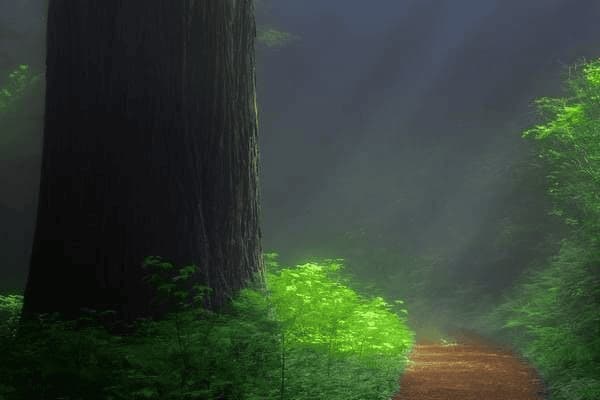 结石痛吃什么食物最好，结石疼吃什么止疼效果最好