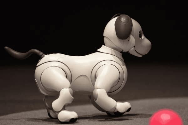 孩子大便血丝怎么回事，孩子大便血丝怎么回事儿