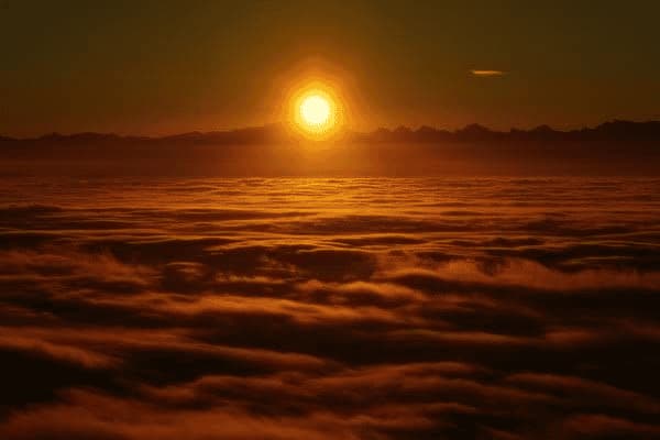 蜂皇浆可以涂在脸上吗，蜂皇浆可以涂在脸上吗女生