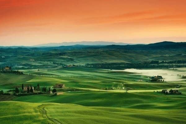 奶粉怎么辨别真假牛奶，奶粉怎么辨别真假牛奶图片