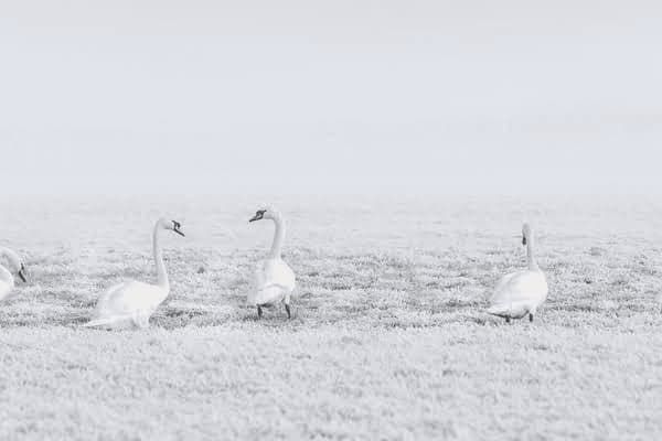 抽烟的危害影响血压吗，抽烟的危害影响血压吗女性