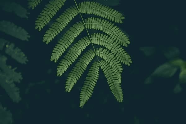 奶粉冲泡还有颗粒吗，奶粉冲泡还有颗粒吗图片