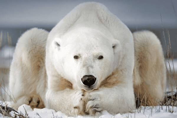 脸上长红硬痘怎么办，脸上长红硬痘怎么办图片