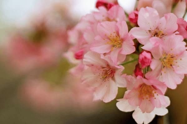 临床病毒性炎怎么治疗，临床病毒性炎怎么治疗最好